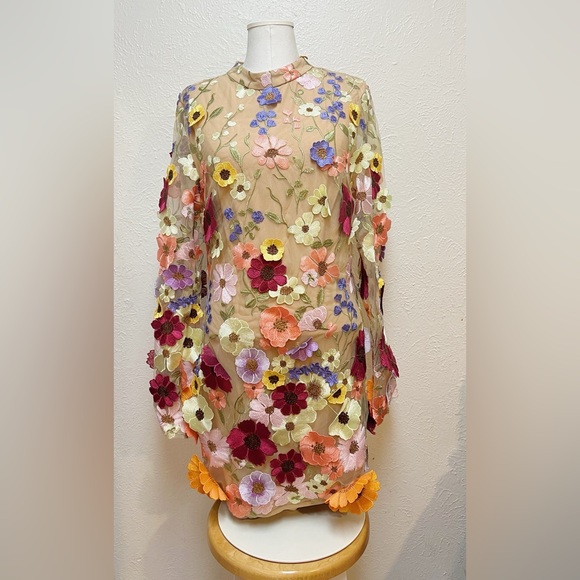 Floral Embroidered Mini Dress - Picture 2 of 4